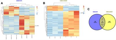 Overexpression of Activating Transcription Factor 3 Alleviates Cardiac Microvascular Ischemia/Reperfusion Injury in Rats